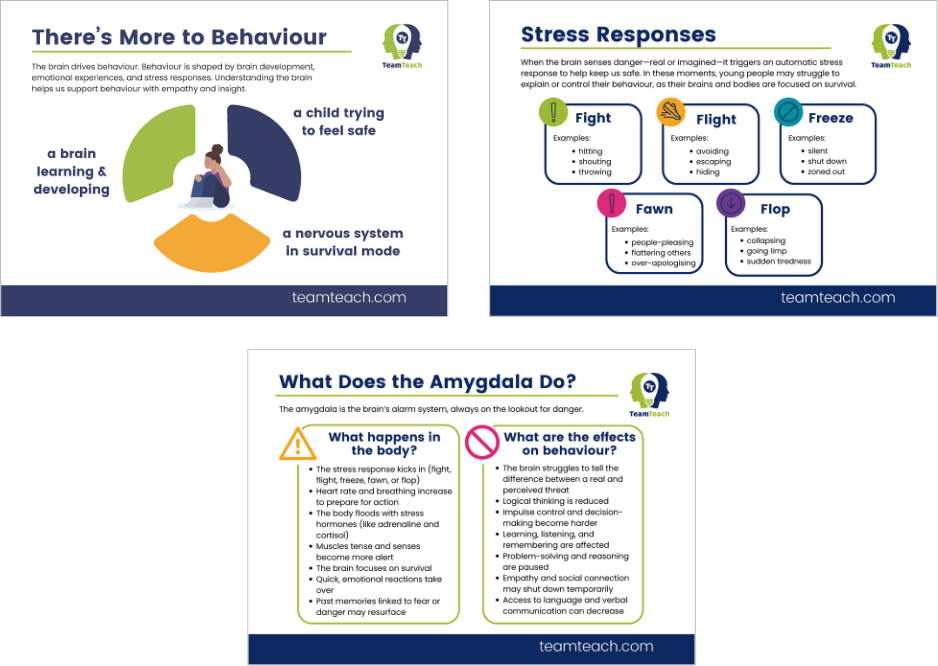 B&B posters 2 Behaviour and the Brain support posters