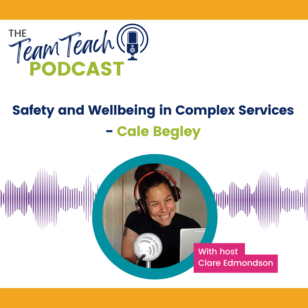 Safety and Wellbeing in Complex Services